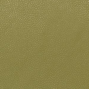 Leather Fantasy Lime  + 400.00€ 